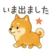 ヒメ日記 2025/11/16 09:20 投稿 まあこ 妻天 尼崎店