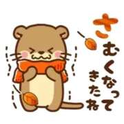 ヒメ日記 2025/12/06 15:40 投稿 まあこ 妻天 尼崎店