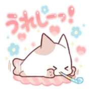 ヒメ日記 2025/12/11 16:58 投稿 まあこ 妻天 尼崎店