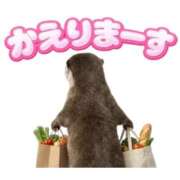 ヒメ日記 2026/03/18 00:52 投稿 まあこ 妻天 尼崎店
