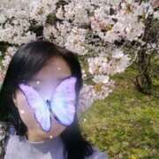 ヒメ日記 2026/04/03 07:09 投稿 せいら 完熟ばなな 谷九店