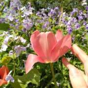 ヒメ日記 2026/04/06 09:01 投稿 せいら 完熟ばなな 谷九店