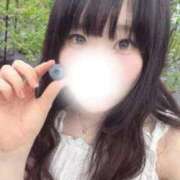みんと ブルベリ🫐 ぐっすり山田　大阪店