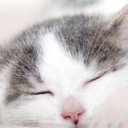 ヒメ日記 2025/06/03 23:20 投稿 月見美夜日 五十路マダム 徳島店