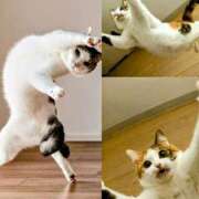 ヒメ日記 2025/06/06 11:30 投稿 月見美夜日 五十路マダム 徳島店