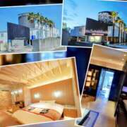 ヒメ日記 2025/06/06 11:42 投稿 月見美夜日 五十路マダム 徳島店