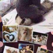 ヒメ日記 2025/06/16 16:46 投稿 月見美夜日 五十路マダム 徳島店