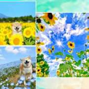 ヒメ日記 2025/06/18 14:06 投稿 月見美夜日 五十路マダム 徳島店