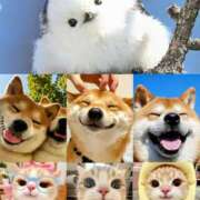 ヒメ日記 2025/06/26 09:56 投稿 月見美夜日 五十路マダム 徳島店