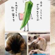 ヒメ日記 2025/07/14 00:48 投稿 月見美夜日 五十路マダム 徳島店