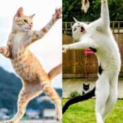 ヒメ日記 2025/07/25 08:12 投稿 月見美夜日 五十路マダム 徳島店