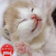 ヒメ日記 2025/07/30 00:36 投稿 月見美夜日 五十路マダム 徳島店