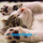 ヒメ日記 2025/08/01 01:00 投稿 月見美夜日 五十路マダム 徳島店