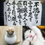 ヒメ日記 2025/08/02 10:00 投稿 月見美夜日 五十路マダム 徳島店