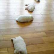 ヒメ日記 2025/08/07 00:38 投稿 月見美夜日 五十路マダム 徳島店