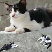 ヒメ日記 2025/08/09 09:18 投稿 月見美夜日 五十路マダム 徳島店