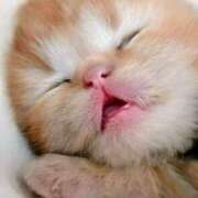 ヒメ日記 2025/08/15 22:50 投稿 月見美夜日 五十路マダム 徳島店