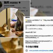 ヒメ日記 2025/08/17 08:58 投稿 月見美夜日 五十路マダム 徳島店