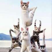 ヒメ日記 2025/08/20 02:24 投稿 月見美夜日 五十路マダム 徳島店