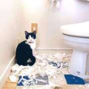 ヒメ日記 2025/08/20 02:38 投稿 月見美夜日 五十路マダム 徳島店