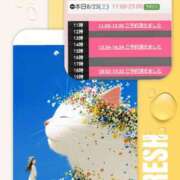 ヒメ日記 2025/08/24 11:58 投稿 月見美夜日 五十路マダム 徳島店