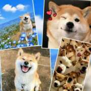 ヒメ日記 2025/08/25 19:52 投稿 月見美夜日 五十路マダム 徳島店