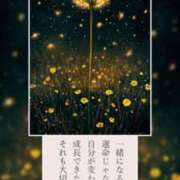 ヒメ日記 2025/09/05 00:38 投稿 月見美夜日 五十路マダム 徳島店