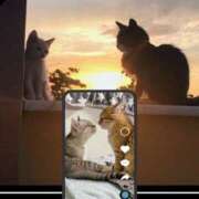 ヒメ日記 2025/09/05 02:00 投稿 月見美夜日 五十路マダム 徳島店