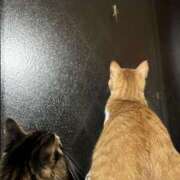 ヒメ日記 2025/10/30 05:06 投稿 やよい 池袋で熟女の風俗 マダムいやーん