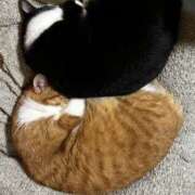 やよい 丸くなる〜 池袋で熟女の風俗 マダムいやーん