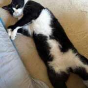 ヒメ日記 2026/01/08 08:09 投稿 やよい 池袋で熟女の風俗 マダムいやーん