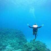 ヒメ日記 2025/11/18 19:18 投稿 ひかる 沖縄素人図鑑