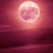 ヒメ日記 2025/06/07 14:56 投稿 栗田きみえ 五十路マダム 岐阜店