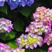 ヒメ日記 2025/06/08 15:24 投稿 栗田きみえ 五十路マダム 岐阜店