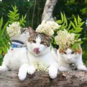 ヒメ日記 2025/06/11 15:14 投稿 栗田きみえ 五十路マダム 岐阜店