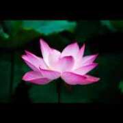 ヒメ日記 2025/06/17 19:16 投稿 栗田きみえ 五十路マダム 岐阜店