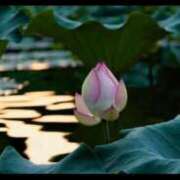 ヒメ日記 2025/08/10 15:22 投稿 栗田きみえ 五十路マダム 岐阜店