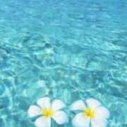 ヒメ日記 2025/08/21 14:38 投稿 栗田きみえ 五十路マダム 岐阜店