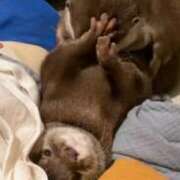 ヒメ日記 2025/09/11 07:16 投稿 栗田きみえ 五十路マダム 岐阜店