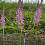 ヒメ日記 2025/10/04 07:54 投稿 栗田きみえ 五十路マダム 岐阜店