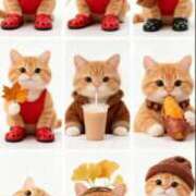 ヒメ日記 2025/10/23 18:30 投稿 栗田きみえ 五十路マダム 岐阜店