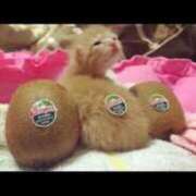 ヒメ日記 2025/11/08 09:04 投稿 栗田きみえ 五十路マダム 岐阜店