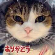 ヒメ日記 2025/11/08 15:28 投稿 栗田きみえ 五十路マダム 岐阜店