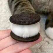 ヒメ日記 2025/11/08 21:26 投稿 栗田きみえ 五十路マダム 岐阜店