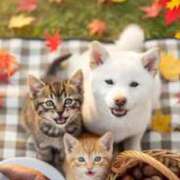 ヒメ日記 2025/11/11 08:50 投稿 栗田きみえ 五十路マダム 岐阜店