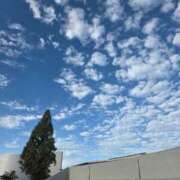 ヒメ日記 2025/11/12 08:44 投稿 栗田きみえ 五十路マダム 岐阜店