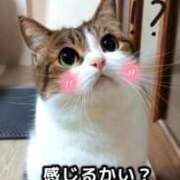 ヒメ日記 2025/11/24 09:04 投稿 栗田きみえ 五十路マダム 岐阜店