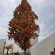 ヒメ日記 2025/12/03 10:52 投稿 栗田きみえ 五十路マダム 岐阜店