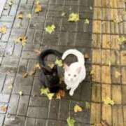 ヒメ日記 2025/12/03 14:28 投稿 栗田きみえ 五十路マダム 岐阜店