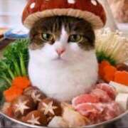 ヒメ日記 2026/01/24 15:06 投稿 栗田きみえ 五十路マダム 岐阜店